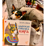Превью 4